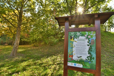 Vezetett természetismereti túrák indulnak szombaton a Sóstón és a Rác bányában